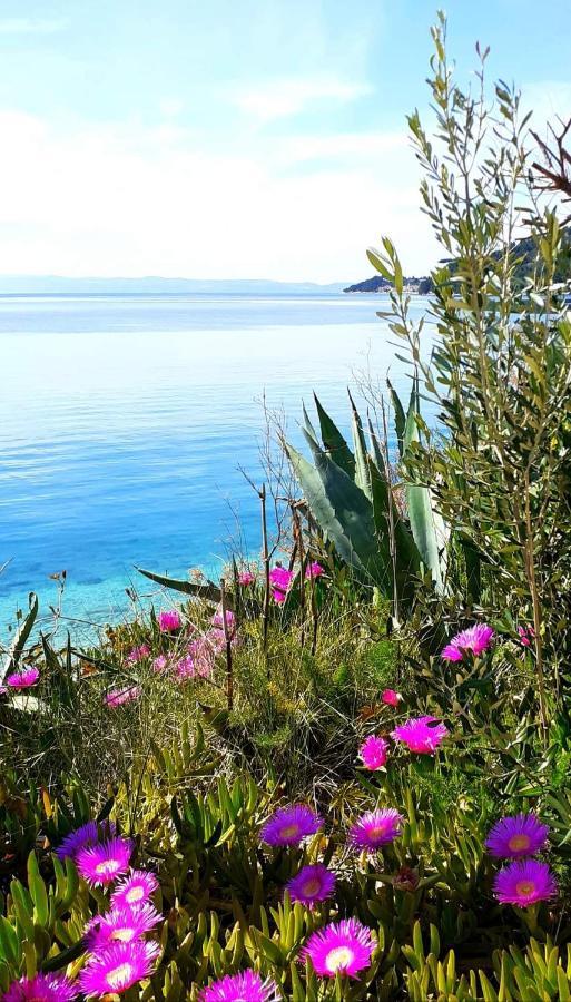 Apartment Mira II Drasnice Εξωτερικό φωτογραφία